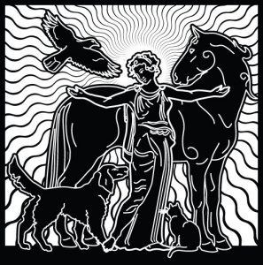 Rays of Healing Light Logo Rooper before the session.