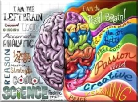Thinking vs. Feeling Brain